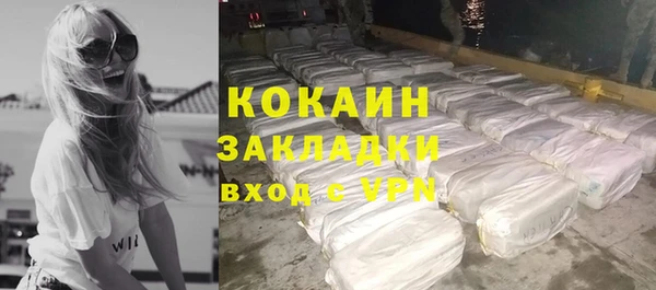 сатива Бородино