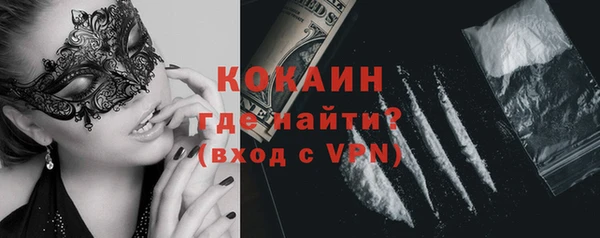 сатива Бородино