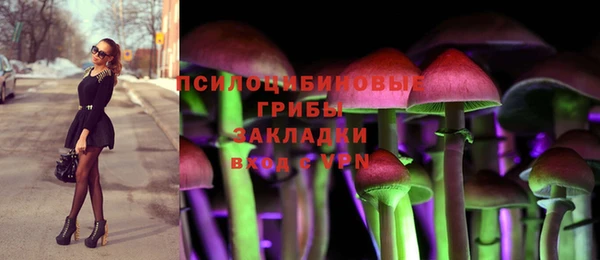 spice Бронницы