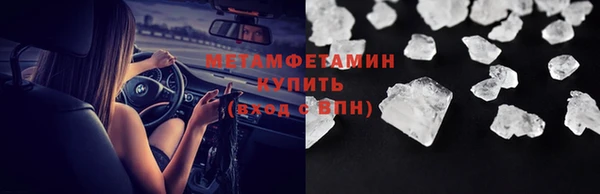 сатива Бородино