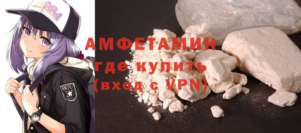 сатива Бородино