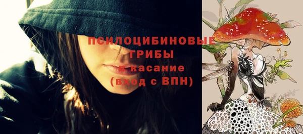 сатива Бородино