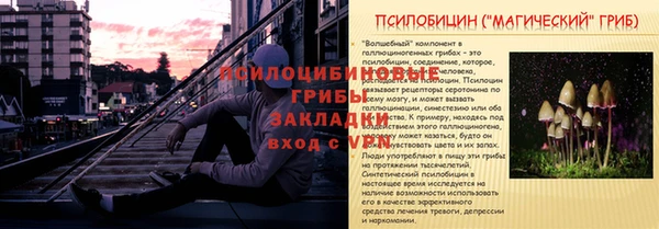 spice Бронницы